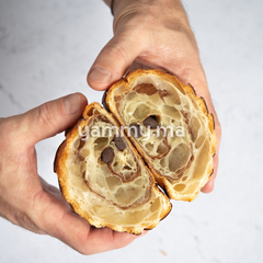 Améliorant Viennoiserie 500gr - Perfeckt