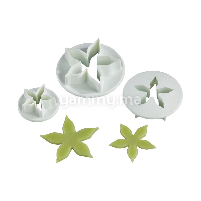 SET. 3 Emporte-pièces Feuilles