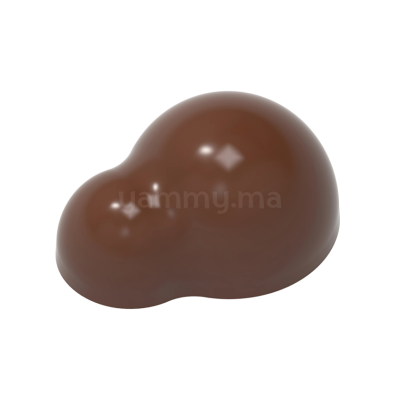 Moule Chocolat en Polycarbonate Andrey Dubovik (x21) "CW1921" - Chocolate World