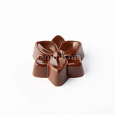 Moule Chocolat en Polycarbonate Praline Bouquet (x24) "PC5073" - Pavoni