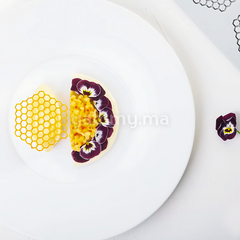 Moule Silicone Rayon de Miel "GG047" - Pavoni