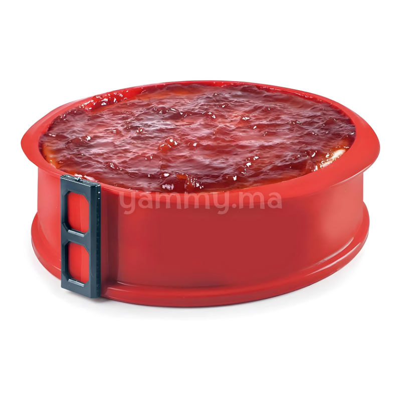 Moule Amovible Rond avec Base en Verre 22.5 cm - Ibili 875700 Moule Amovible Rond avec Base en Verre 22.5 cm - Ibili 875700