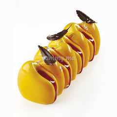 Moule Silicone Canyon "KE040" - Pavoni