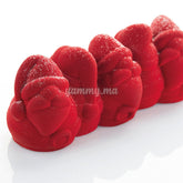 Moule Silicone SANTA LOG "KE084" - Pavoni