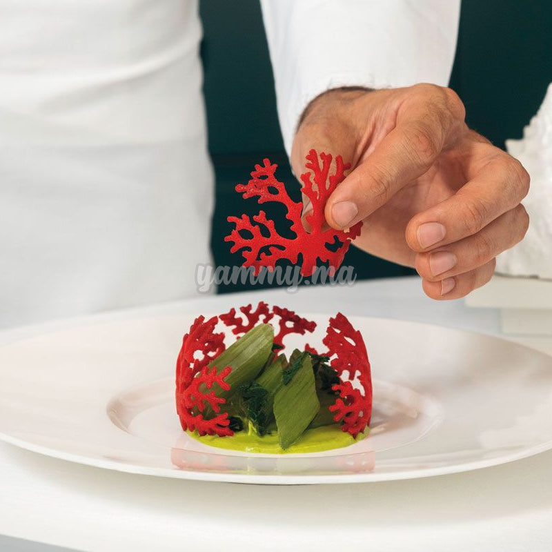 Moule Silicone Coral "GG027" - Pavoni Moule Silicone Coral "GG027" - Pavoni