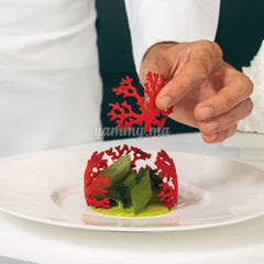 Moule Silicone Coral "GG027" - Pavoni