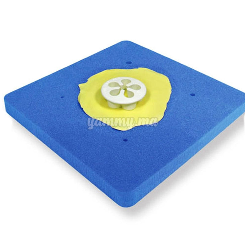 Tapis et Mousse Pour le Modelage Des Fleurs x2 Pate à Sucre & d'Amande