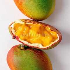 Fourrage aux fruits Classique Mangue 50% 500 gr (Repack) - Bakbel