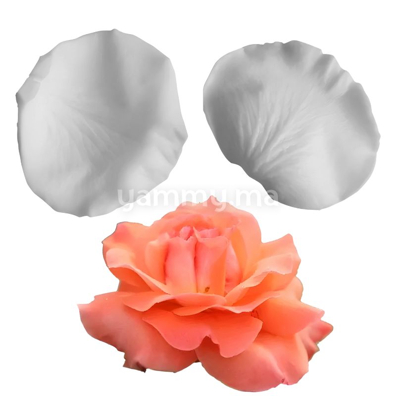 SET. 2 Moules Silicone Pétales de Fleurs & Feuilles MSP205