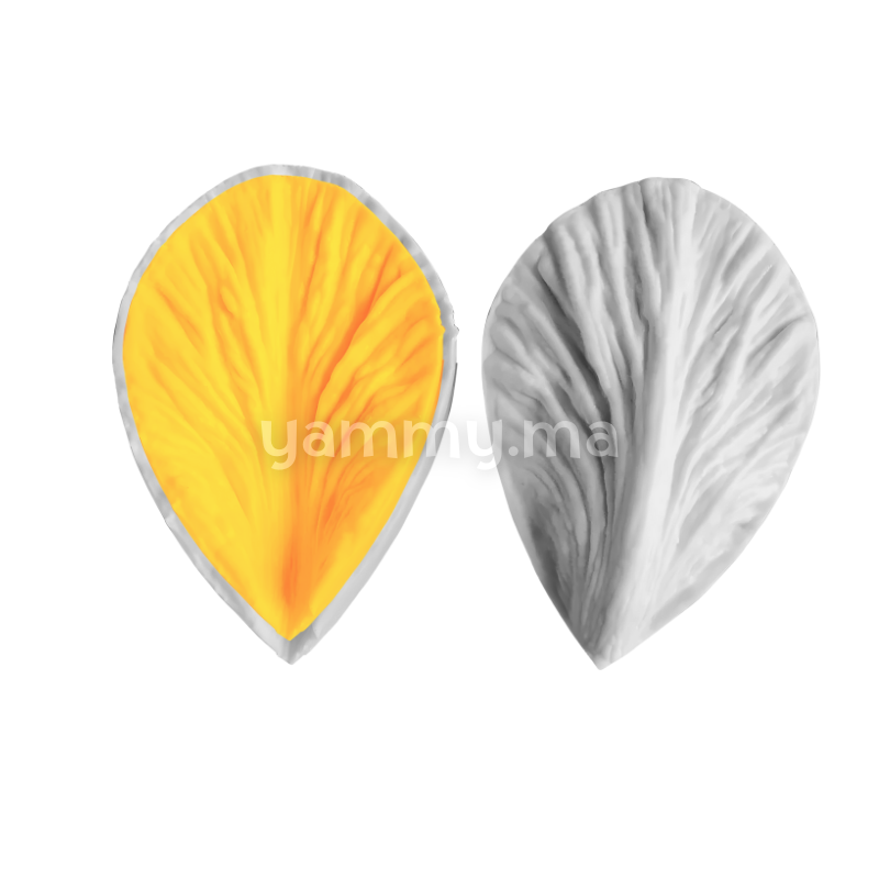 SET. 2 Moules Silicone Pétales de Fleurs & Feuilles MSP208