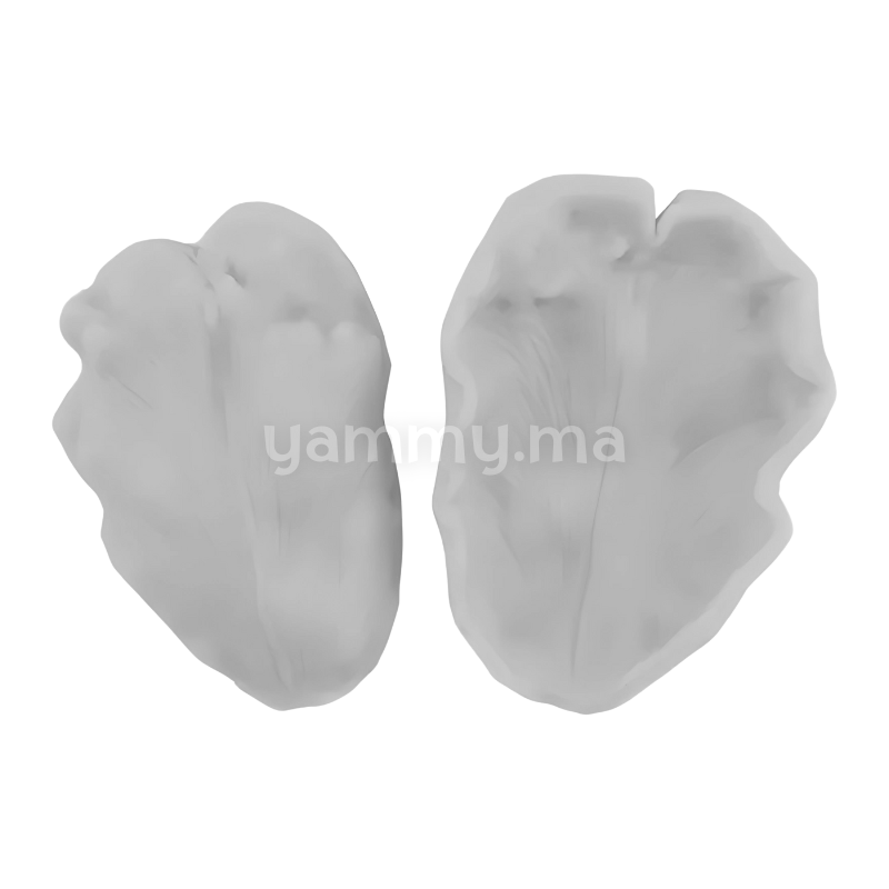 SET. 2 Moules Silicone Pétales de Fleurs & Feuilles MSP210