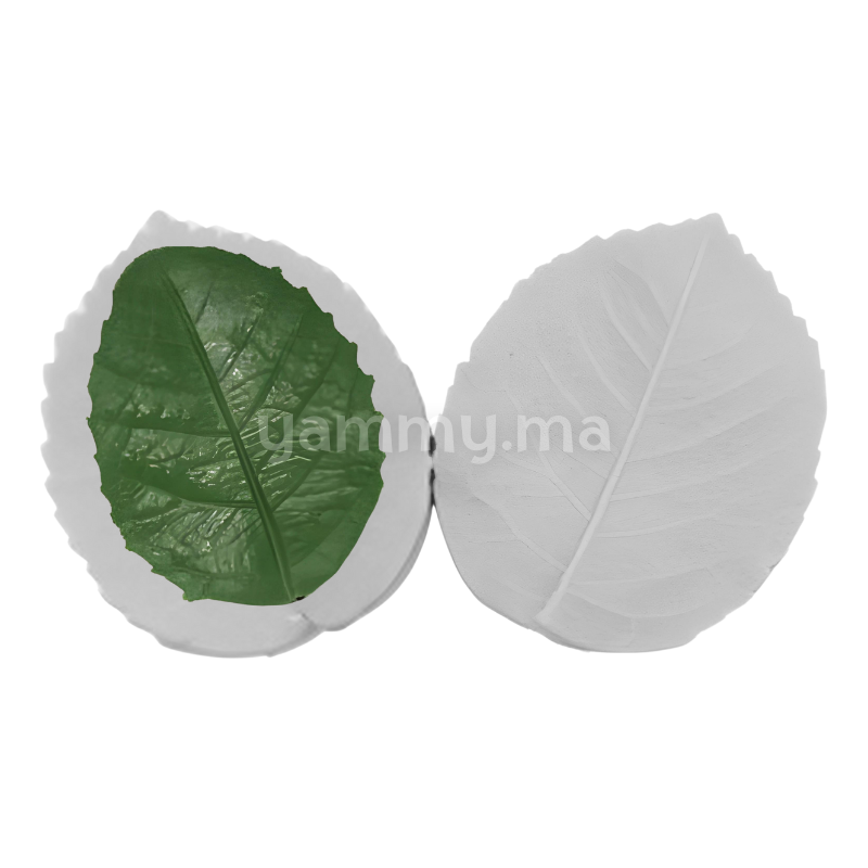 SET. 2 Moules Silicone Pétales de Fleurs & Feuilles MSP202