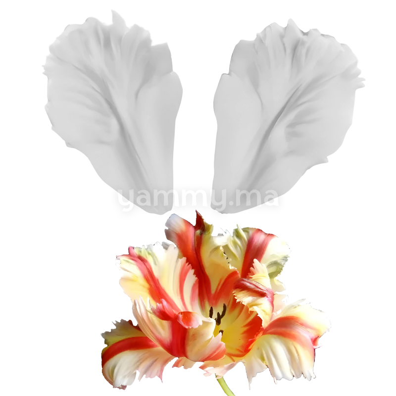 SET. 2 Moules Silicone Pétales de Fleurs & Feuilles MSP200