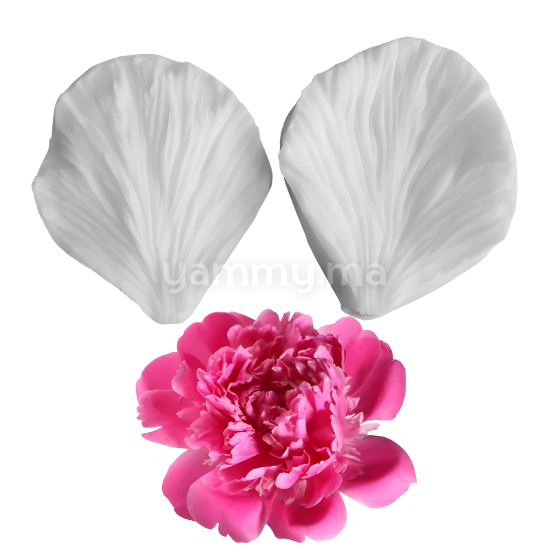SET. 2 Moules Silicone Pétales de Fleurs & Feuilles MSP203