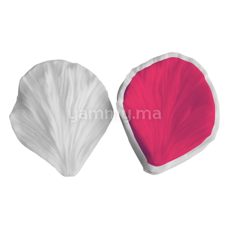 SET. 2 Moules Silicone Pétales de Fleurs & Feuilles MSP203