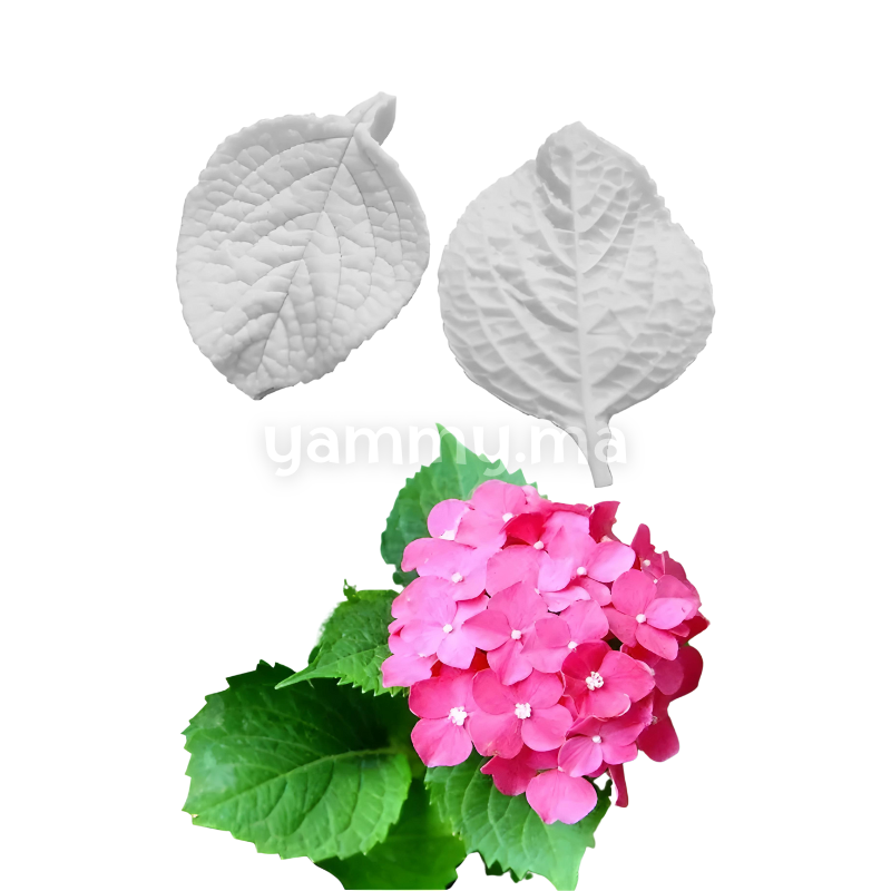 SET. 2 Moules Silicone Pétales de Fleurs & Feuilles MSP204