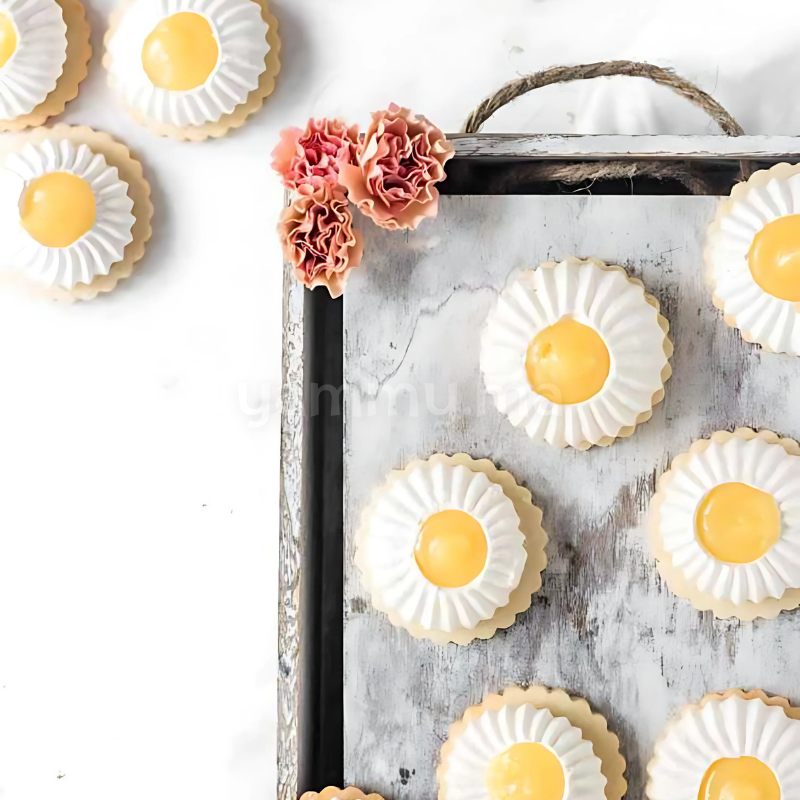 Douille Sultane Fermée Cône à Ras en Plastique