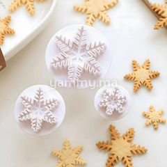 Set 3 Emporte-pièces avec Poussoir Flocon de Neige
