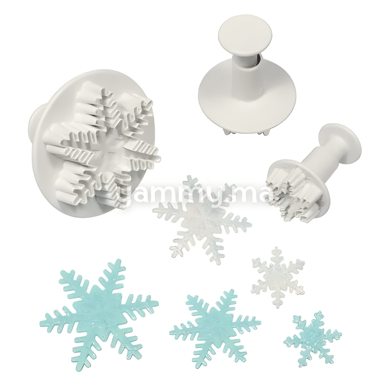 Set 3 Emporte-pièces avec Poussoir Flocon de Neige