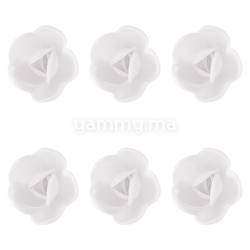 Fleurs de Rose Blanche x6 et Feuilles Vertes x12 en Azyme - Florensuc