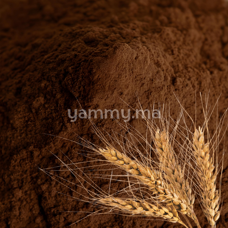 Malt d'Orge en Poudre Foncé "Maltorge1200" - Ecomab