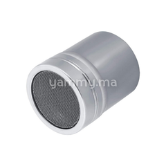 Mini Saupoudreuse à Malle Fine en Inox Ø 5 cm