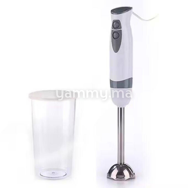 Mixeur Plongeant Electrique avec Bol 300W - Lamacom HB0103