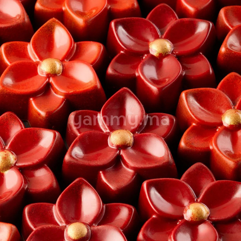 Moule Chocolat en Polycarbonate Praline Bouquet (x24) "PC5073" - Pavoni