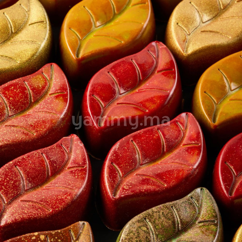 Moule Chocolat en Polycarbonate Praline Garden (x24) "PC5074" - Pavoni