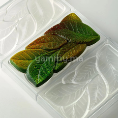 Moule Chocolat en Polycarbonate Tablette Garden 100 gr (x3) "PC5077" - Pavoni