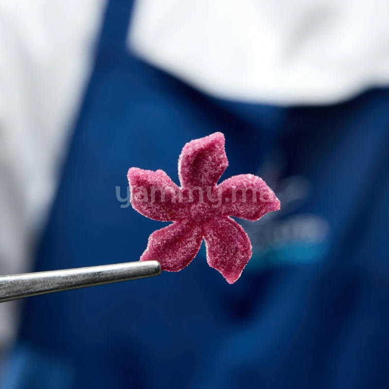 Moule Silicone 3 Fleurs Floralia Ø 3.5 cm (x24) "GG076" - Pavoni