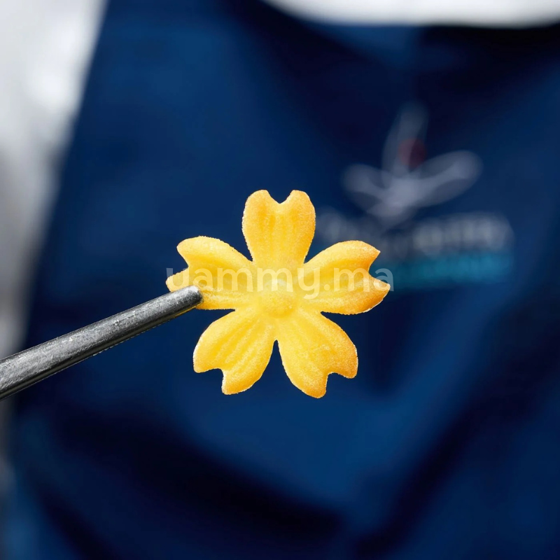 Moule Silicone 3 Fleurs Floralia Ø 3.5 cm (x24) "GG076" - Pavoni