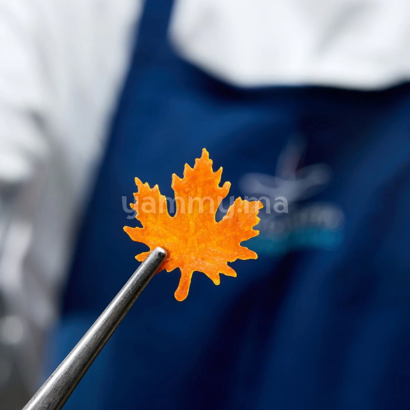 Moule Silicone 3 Feuillages Foliage Ø 3.2 cm (x45) "GG077" - Pavoni