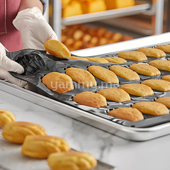 Moule Silicone Madeleine 60/40 cm "PX006" - Pavoni