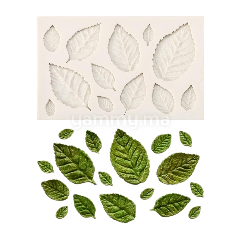 Moule Silicone 12 Feuilles de Rose