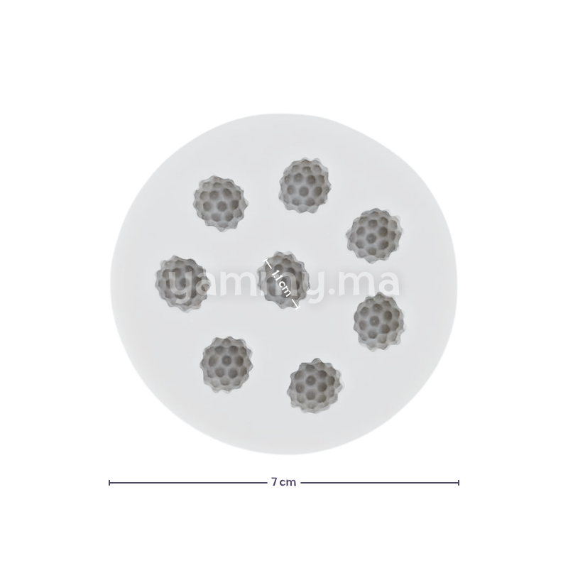 Moule Silicone 8 Framboises