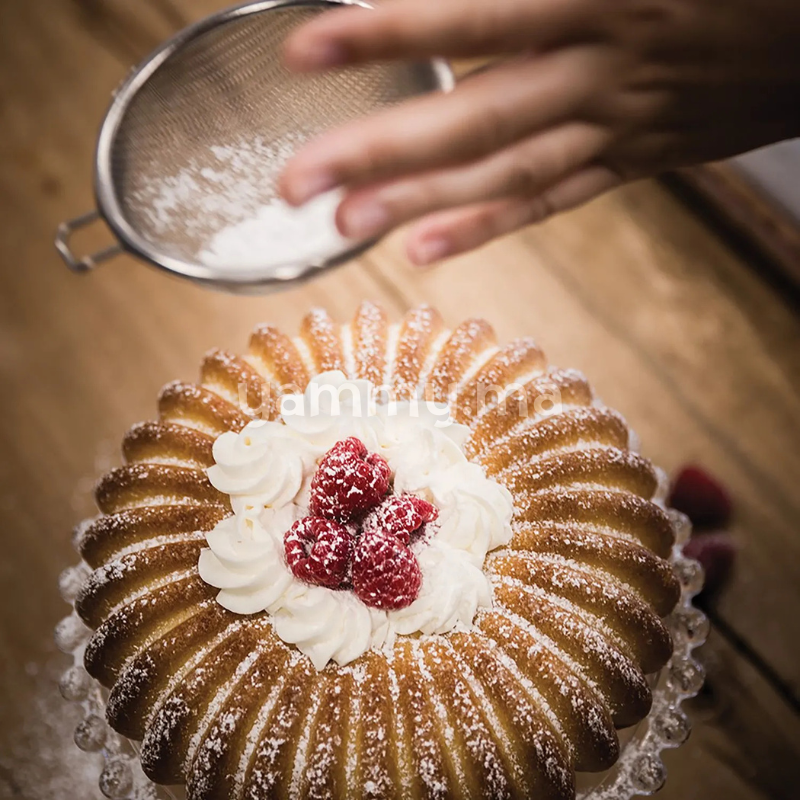 Moule Silicone Raggio 1530ml - Silikomart