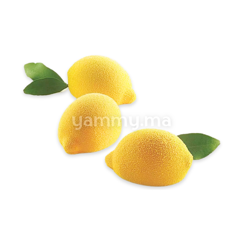 Moule Silicone Citron 106 ml (x6) - Silikomart