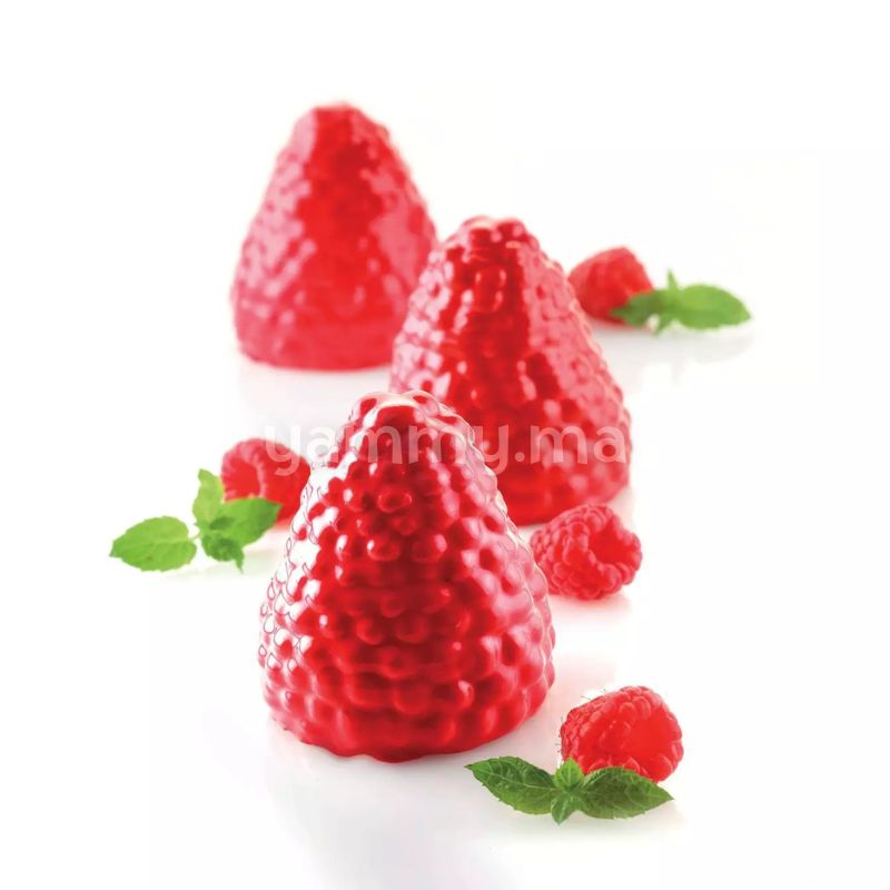 Moule Silicone Mûre et Framboise 110 ml (x5) - Silikomart