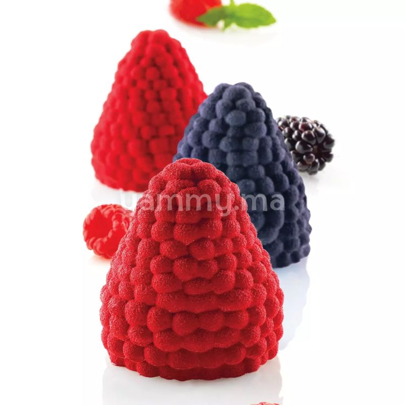 Moule Silicone Mûre et Framboise 110 ml (x5) - Silikomart