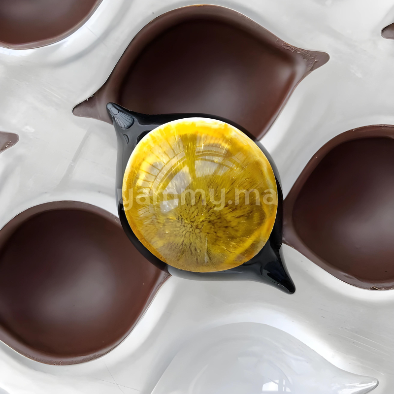Moule à Chocolat en Polycarbonate Praline Curve "CW1903" 7.5gr - Chocolate World