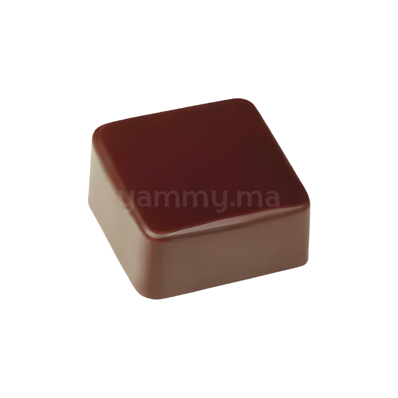 Moule Chocolat en Polycarbonate Artisanal "PC112" - Pavoni