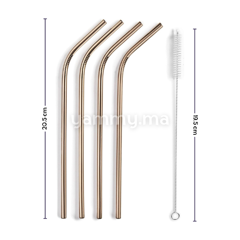 Set 4 Pailles + Brosse en Inox Cuivrée 21.5 cm – Lacor 63131
