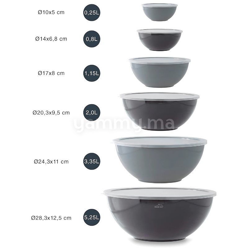 Set de 6 Bols et Bassines en Polypropylène avec Couvercles - Lacor 60055