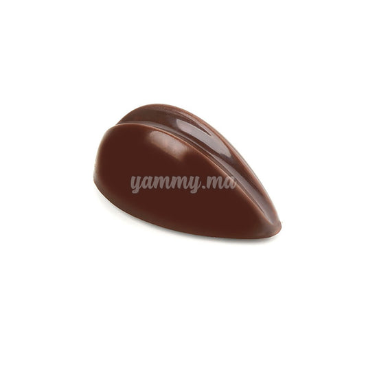 Moule Chocolat en Polycarbonate "PC41" - Pavoni