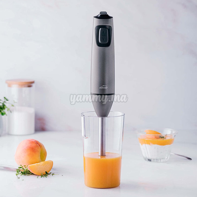 Mixeur Électrique Titan PRO 600W - Lacor