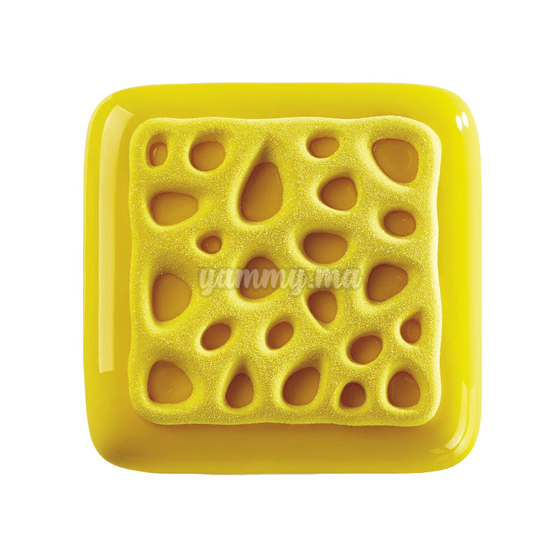 Moule Silicone Sponge "TOP02" - Pavoni