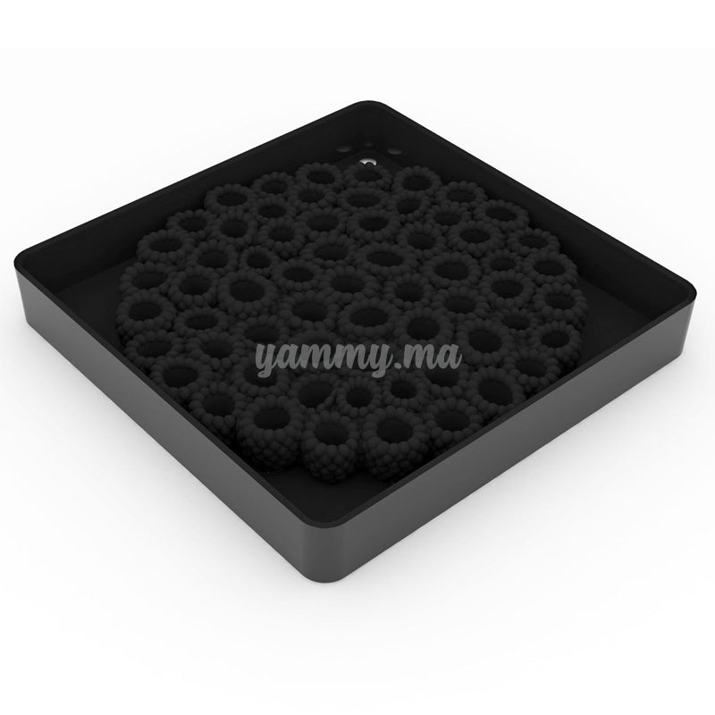 Moule Silicone Scarlet "TOP27" - Pavoni