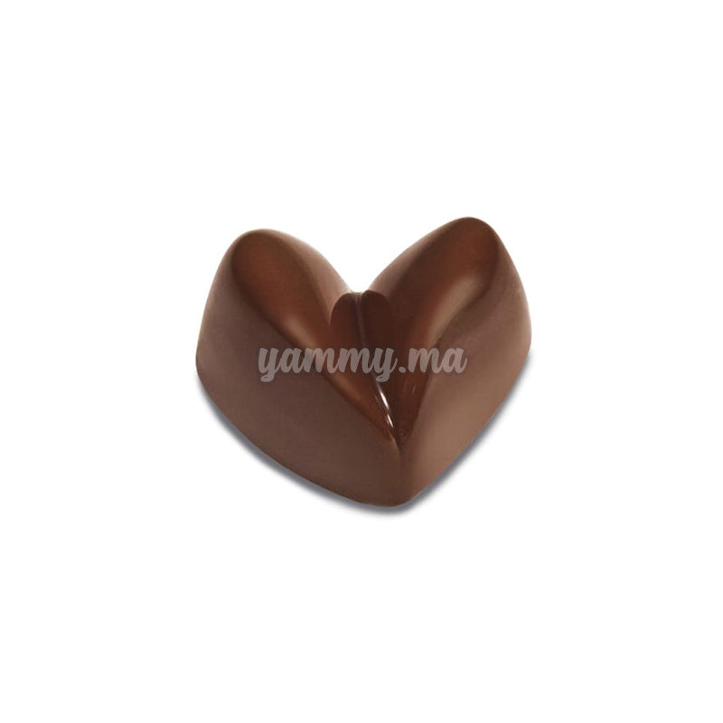 Moule Chocolat en Polycarbonate "PC58" - Pavoni