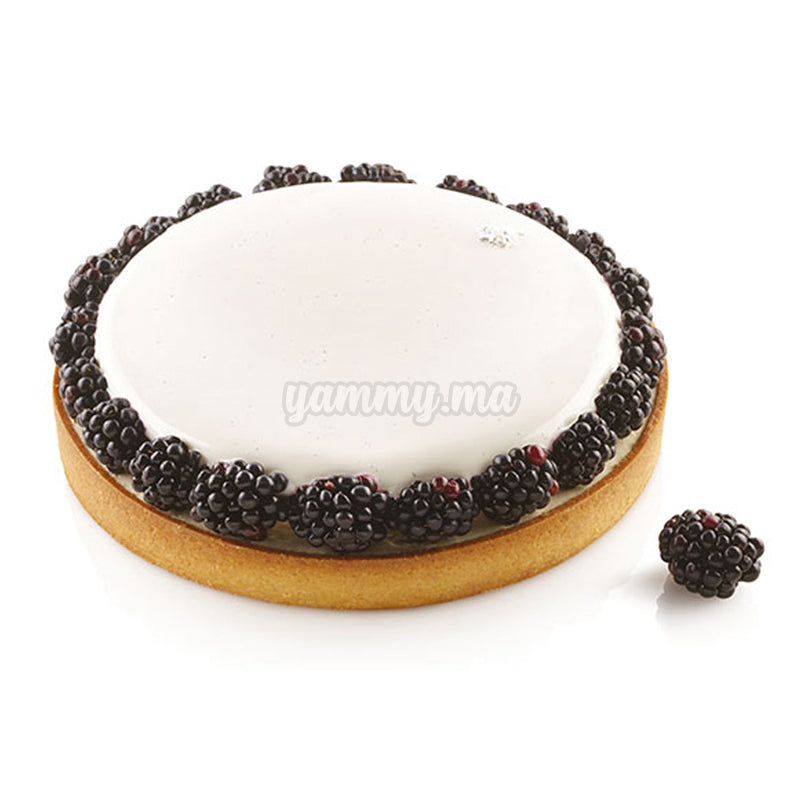 Moule Perforé Rond 210/h20mm"AFT210" - Silikomart